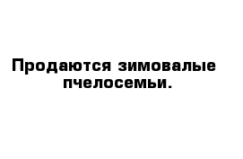 Продаются зимовалые  пчелосемьи.